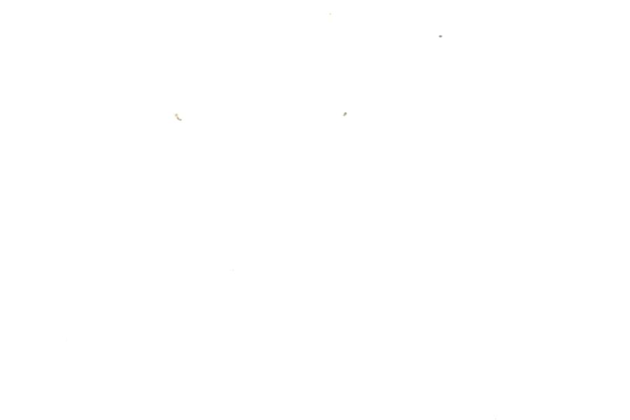 Image 31